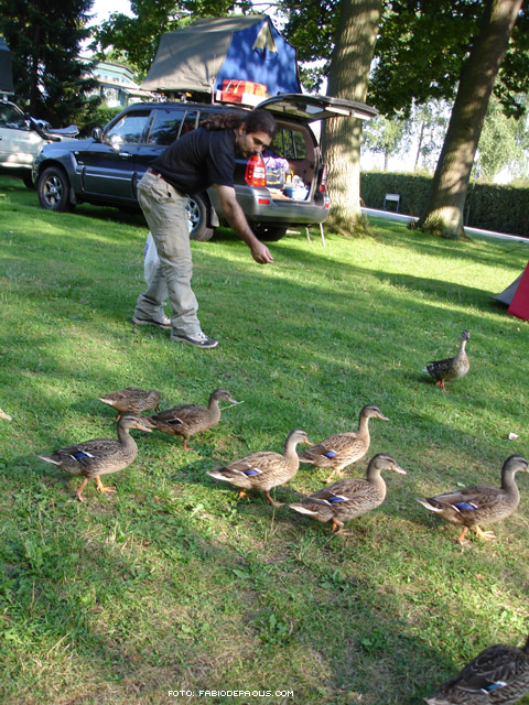 12 agosto, il campeggio Maribo in Danimarca