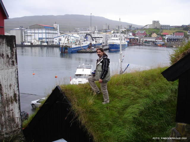 16 agosto, Isole Faroer: sul tetto d'erba di una casa