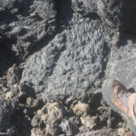 Particolare di lava