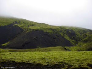 Colline di muschio