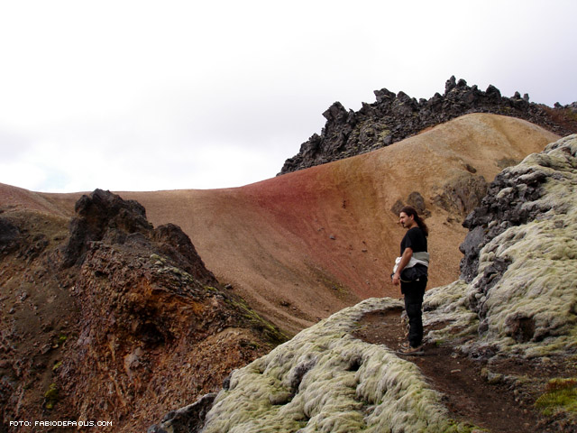 La schiena del drago