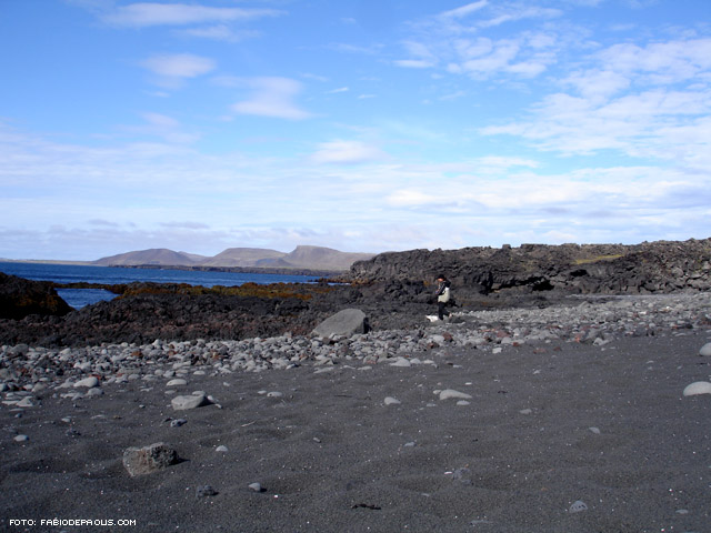 A spasso sulla spiaggia