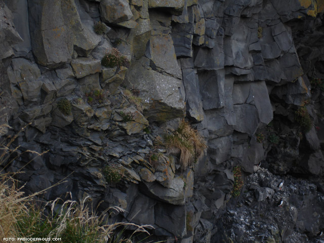 si attardano sulla scogliera